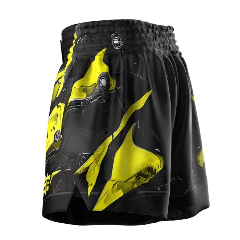 Pánské kraťasy Muay Thai IRON FORCE
