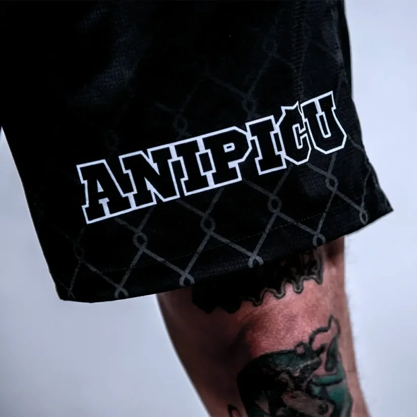 Pánské sportovní kraťasy ANIPIČU