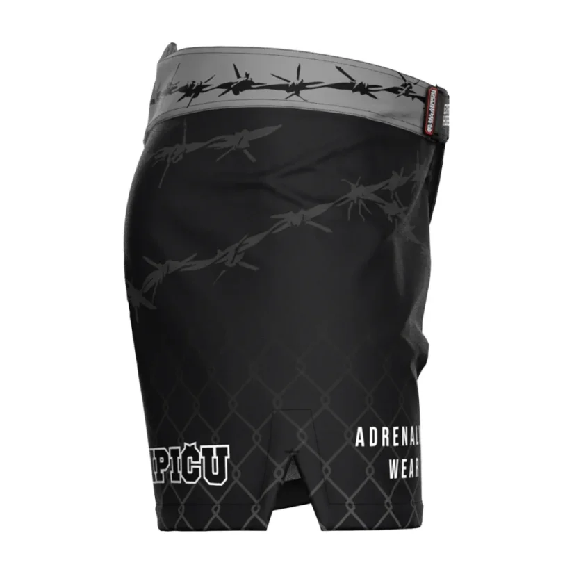 Pánské kraťasy Athletic ANIPIČU