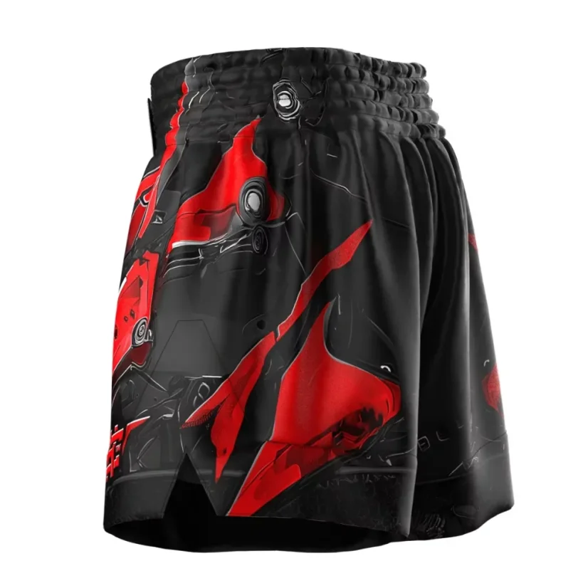 Pánské kraťasy Muay Thai IRON FORCE