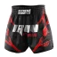 Pánské kraťasy Muay Thai IRON FORCE