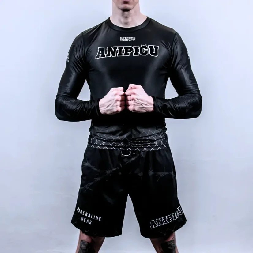 Pánské sportovní kraťasy ANIPIČU