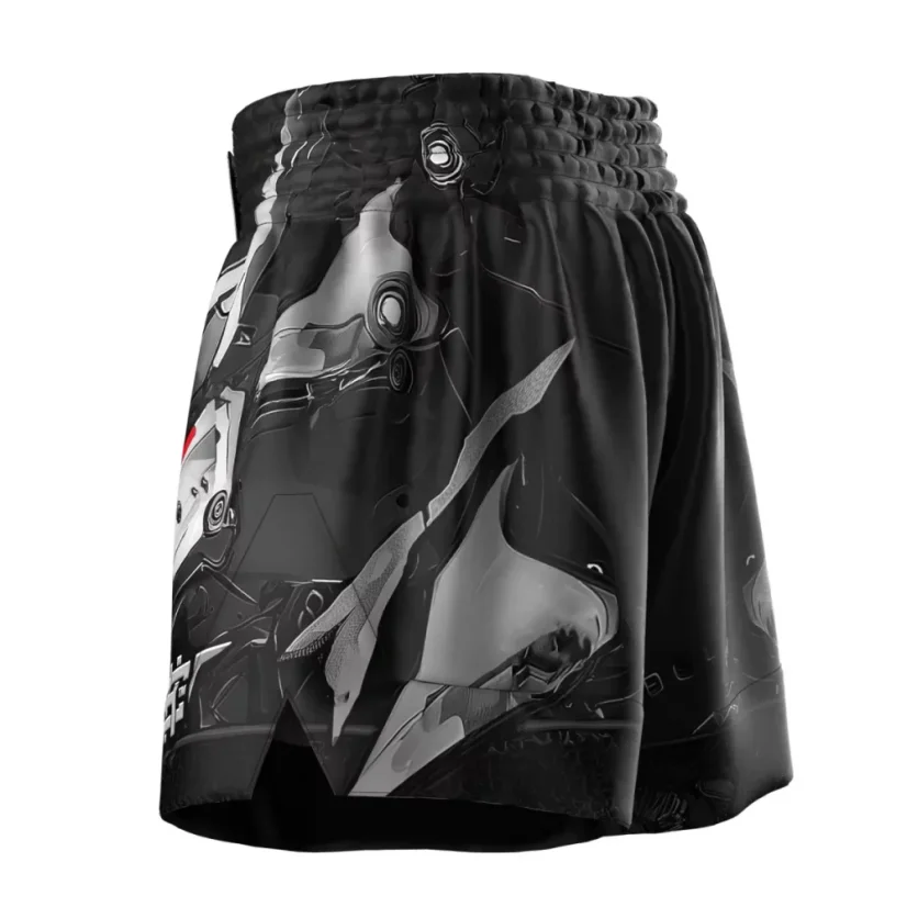 Pánské kraťasy Muay Thai IRON FORCE