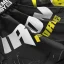 Pánské kraťasy Muay Thai IRON FORCE