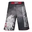 Pánske kraťasy Grappling POLSKA grey
