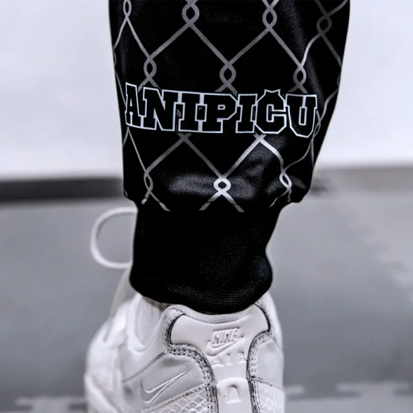 Pánské sportovní tepláky ANIPIČU