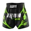 Pánské kraťasy Muay Thai IRON FORCE
