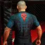 Pánský rashguard s krátkým rukávem WIDOW