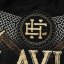 Pánský rashguard s krátkým rukávem SLAVICA ORBIS