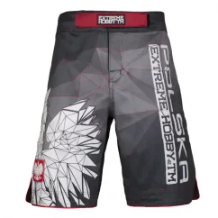 Pánske kraťasy Grappling POLSKA grey