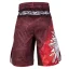 Pánske kraťasy Grappling POLSKA red