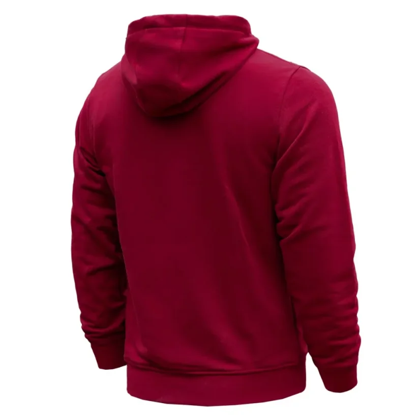 Pánská mikina s kapucí zip CLUSTER