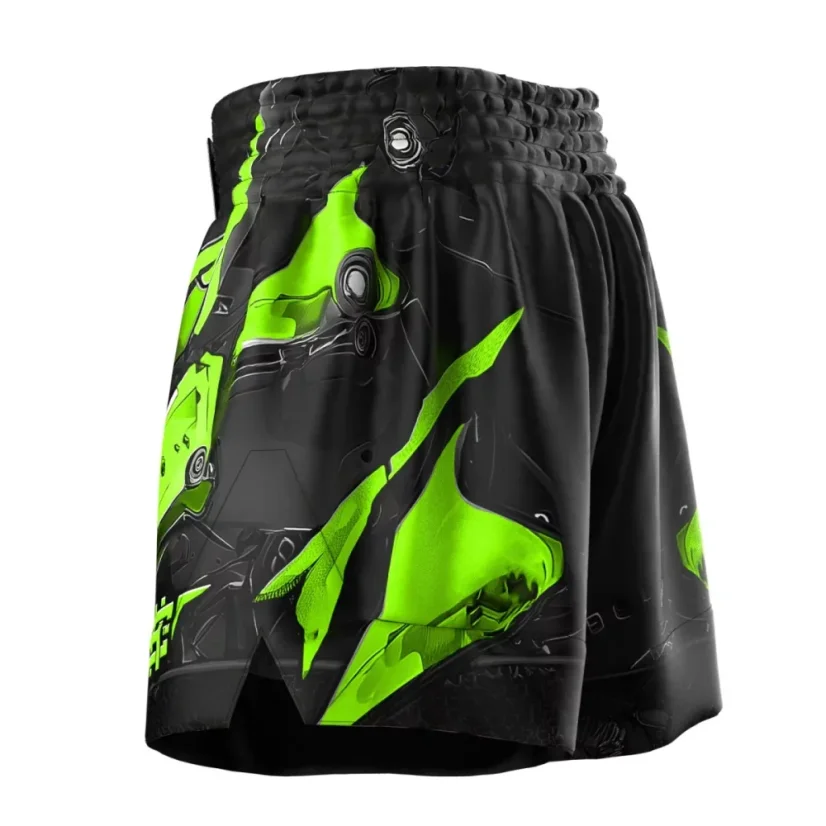 Pánské kraťasy Muay Thai IRON FORCE