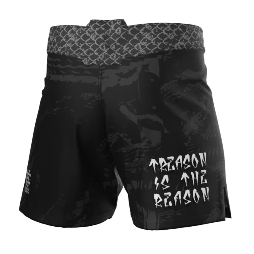 Pánské kraťasy Athletic ANIPIČU