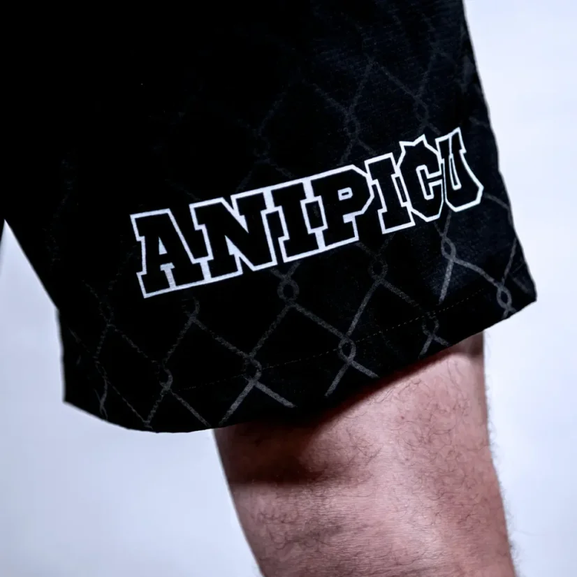 Pánské sportovní kraťasy ANIPIČU