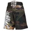 Pánské kraťasy Athletic POLSKA CAMO