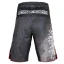 Pánske kraťasy Grappling POLSKA grey