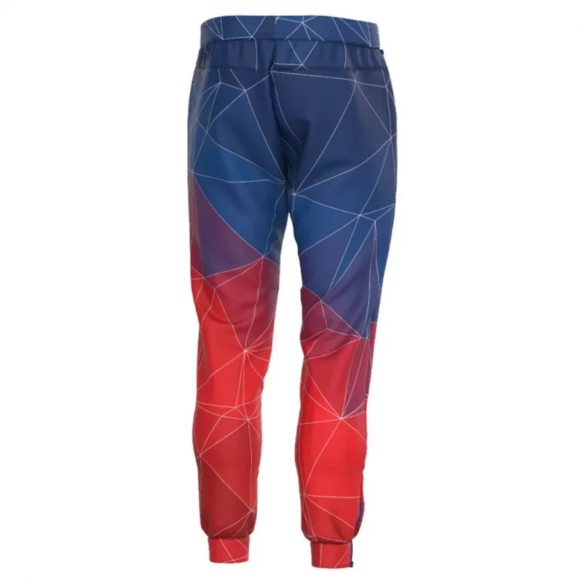 Pánské sportovní tepláky ČESKÝ LEV