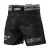 Pánské kraťasy Athletic ANIPIČU