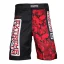 Pánske kraťasy Grappling RED WARRIOR