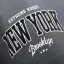 Pánské plavecké kraťasy NEW YORK